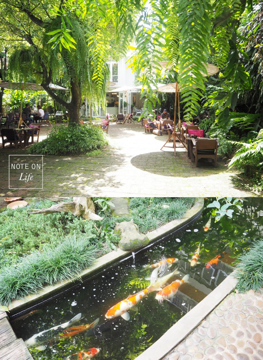 Fern Forest Cafe Chiangmai Thailand Travel